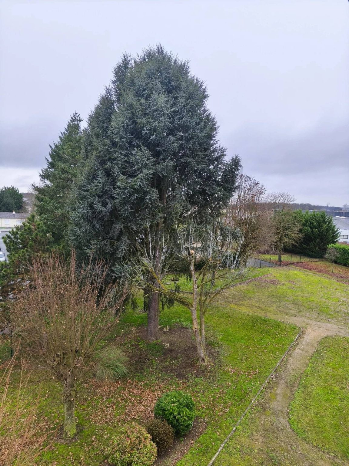 Appartement T4 de 67 m² Balcon Cave