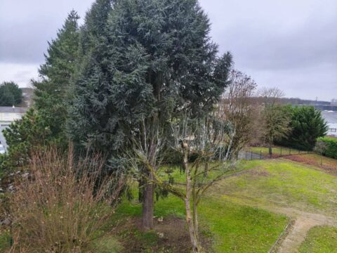 Joué-lès-Tours — Appartement T4 de 67 m² Balcon Cave